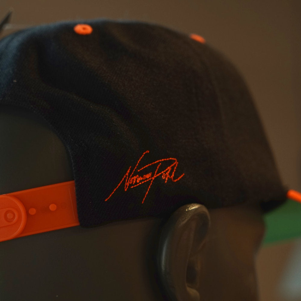 "Everyday 119%" Snapback